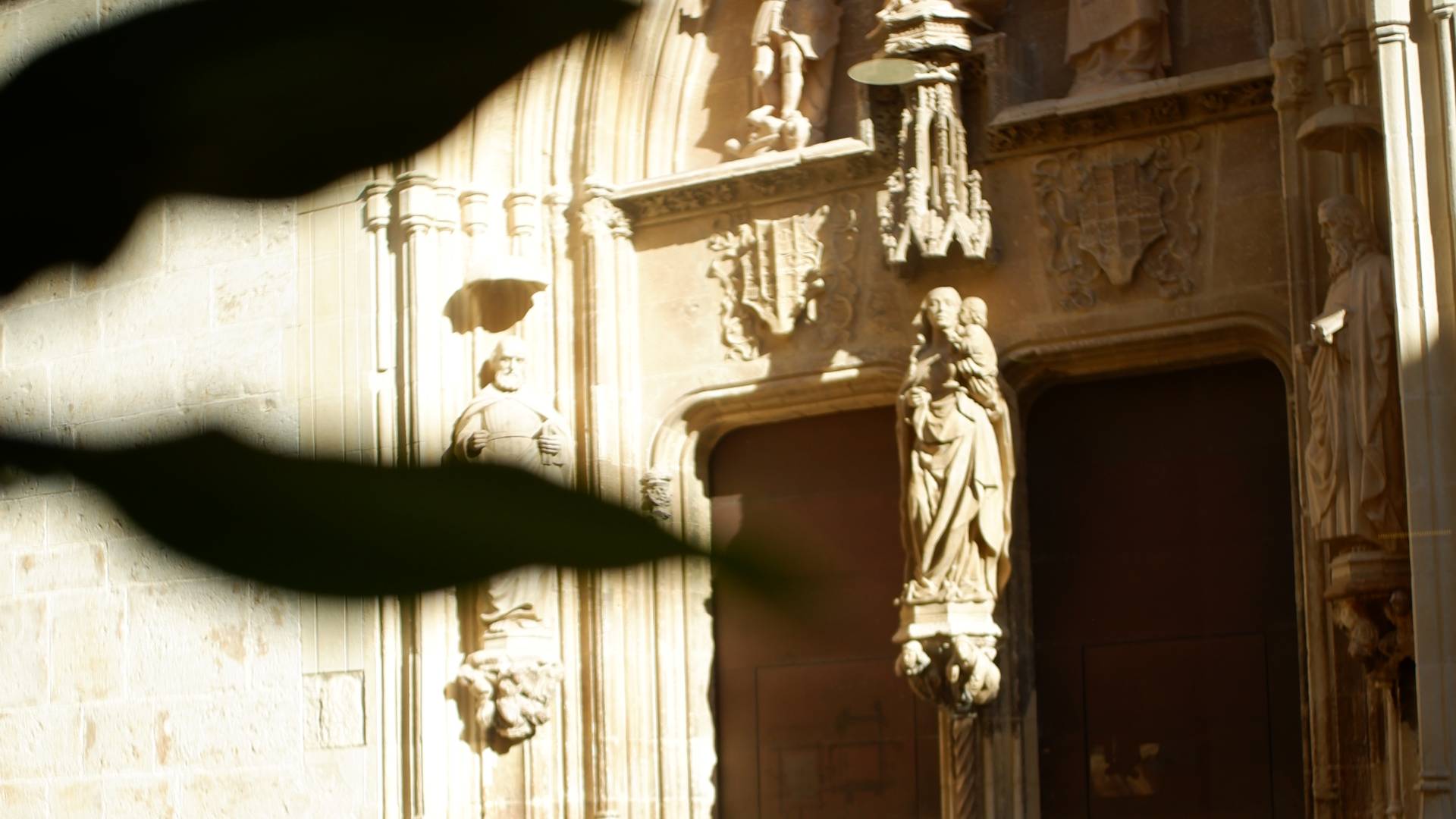 Vistas de la Colegiata de Gandía